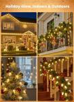 C9 LED Outdoor Christmas Lights, 81ft String