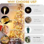 Suddus 200 LED Warm White Fairy Lights, 66 ft
