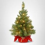 2 ft Pre-lit Mini Christmas Tree with Lights