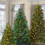 100FT Color Changing LED Christmas Lights with Remote