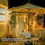 100 LED Warm White Globe String Lights with Remote