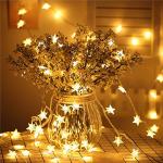 100 LED Waterproof Star String Lights - 33FT