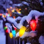 Brightown Multicolor C9 LED Christmas Bulbs, 25 Pack