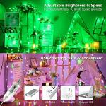BrizLabs 33ft Color Changing LED Fairy Lights