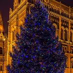 33ft Twinkle Star Multicolor Fairy Lights with Remote