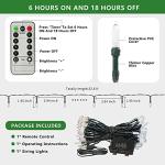 33ft Battery Operated LED Christmas String Lights