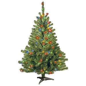 4ft Pre-Lit Kincaid Spruce Christmas Tree with Lights