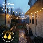 100 LED Warm White Globe String Lights with Remote