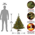 4ft Pre-Lit Kincaid Spruce Christmas Tree with Lights