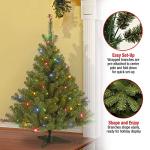 4ft Pre-Lit Kincaid Spruce Christmas Tree with Lights
