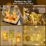 66ft 200 LED Warm White Battery String Lights