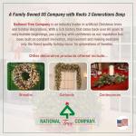 4ft Pre-Lit Kincaid Spruce Christmas Tree with Lights