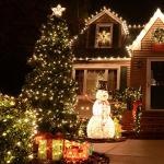 Warm White 200 Count Mini Christmas Lights Set