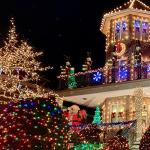 Warm White 200 Count Mini Christmas Lights Set