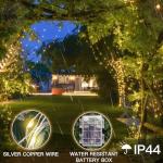 66ft 200 LED Warm White Battery String Lights