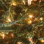 33ft Green Battery-Powered LED Christmas Lights