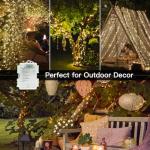 66ft 200 LED Warm White Battery String Lights