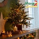 Battery Operated 50 LED Outdoor String Lights