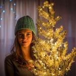 33ft Green Battery-Powered LED Christmas Lights