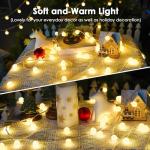 100 LED Globe String Lights with Remote Control