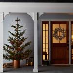 SYLVANIA 300 Multi Christmas Lights on Green Wire