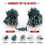 Hopolon 2-Pack 13ft Warm White Christmas Lights