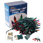 33FT Multicolor Christmas String Lights for Any Occasion