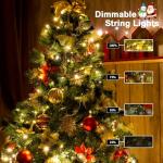 Battery-Operated 50LED String Lights with Remote