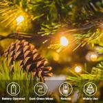 Battery-Operated 50LED String Lights with Remote
