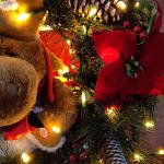18ft Battery Operated LED Christmas Lights with Timer