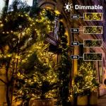 Battery Operated 50 LED Fairy String Lights