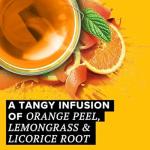 TAZO Wild Sweet Orange Herbal Tea Bags, Caffeine-Free