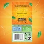 Twinings Pure Peppermint Herbal Tea, 20 Bags