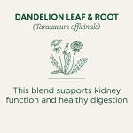 Organic Dandelion Leaf & Root Tea for Detox