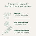 Organic Hibiscus Tea for Heart Health - 16 Bags