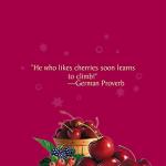 Celestial Seasonings Black Cherry Berry Herbal Tea Bags