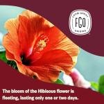 FGO Organic Caffeine-Free Hibiscus Tea Bags