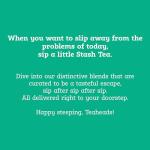 Stash Tea Wild Raspberry Hibiscus Herbal Tea Bags