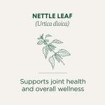 Organic Nettle Tea for Joint Health and Wellness