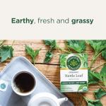 Organic Nettle Tea for Joint Health and Wellness