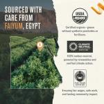 Numi Organic Moroccan Mint Herbal Tea Bags