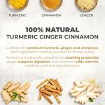 Turmeric Ginger Cinnamon Tea Bags – 40 Count