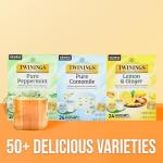 Twinings Pure Camomile Herbal Tea K-Cups, 24 Count