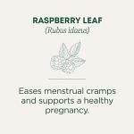 Organic Raspberry Leaf Tea for Menstrual Relief