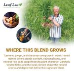 Turmeric Ginger Cinnamon Tea Bags – 40 Count