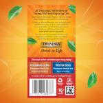 Twinings Christmas Black Tea with Clove & Cinnamon