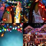 25 Pack Multi-Color C7 Bulbs for Christmas Lights