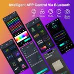 RGB Music Sync Fairy String Lights with Remote