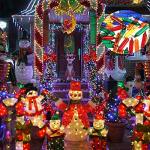 Colorful Mini Incandescent Replacement Bulbs for String Lights
