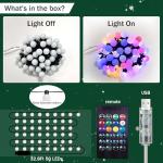 33Ft Smart RGB Globe String Lights with Music Sync